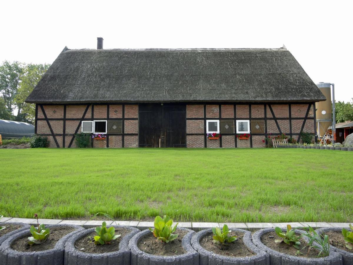 Ferienwohnungen Am Reiterhof Sallenthin Neu Sallenthin Exteriér fotografie